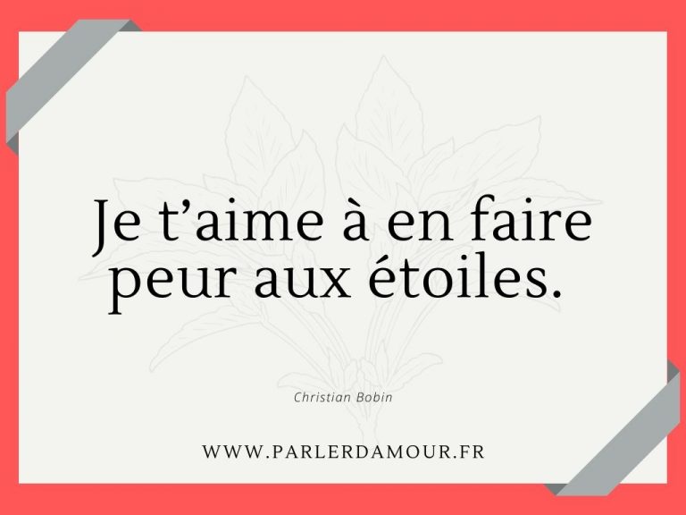 Citations Je T Aime Les 50 Plus Inspirantes Parler D Amour