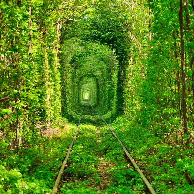 tunnel amour