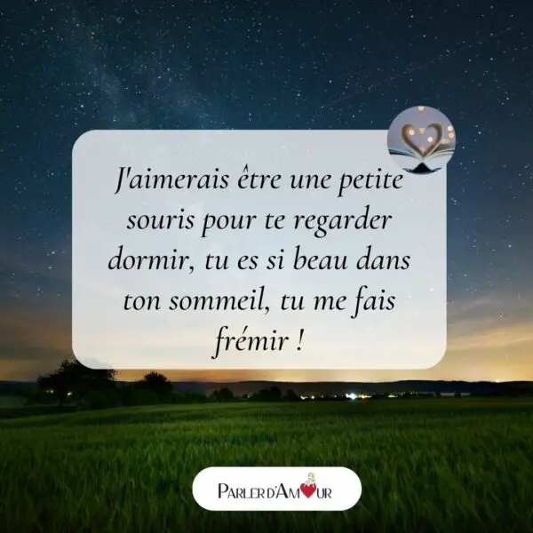 Messages Pour Dire Bonne Nuit Son Amoureux